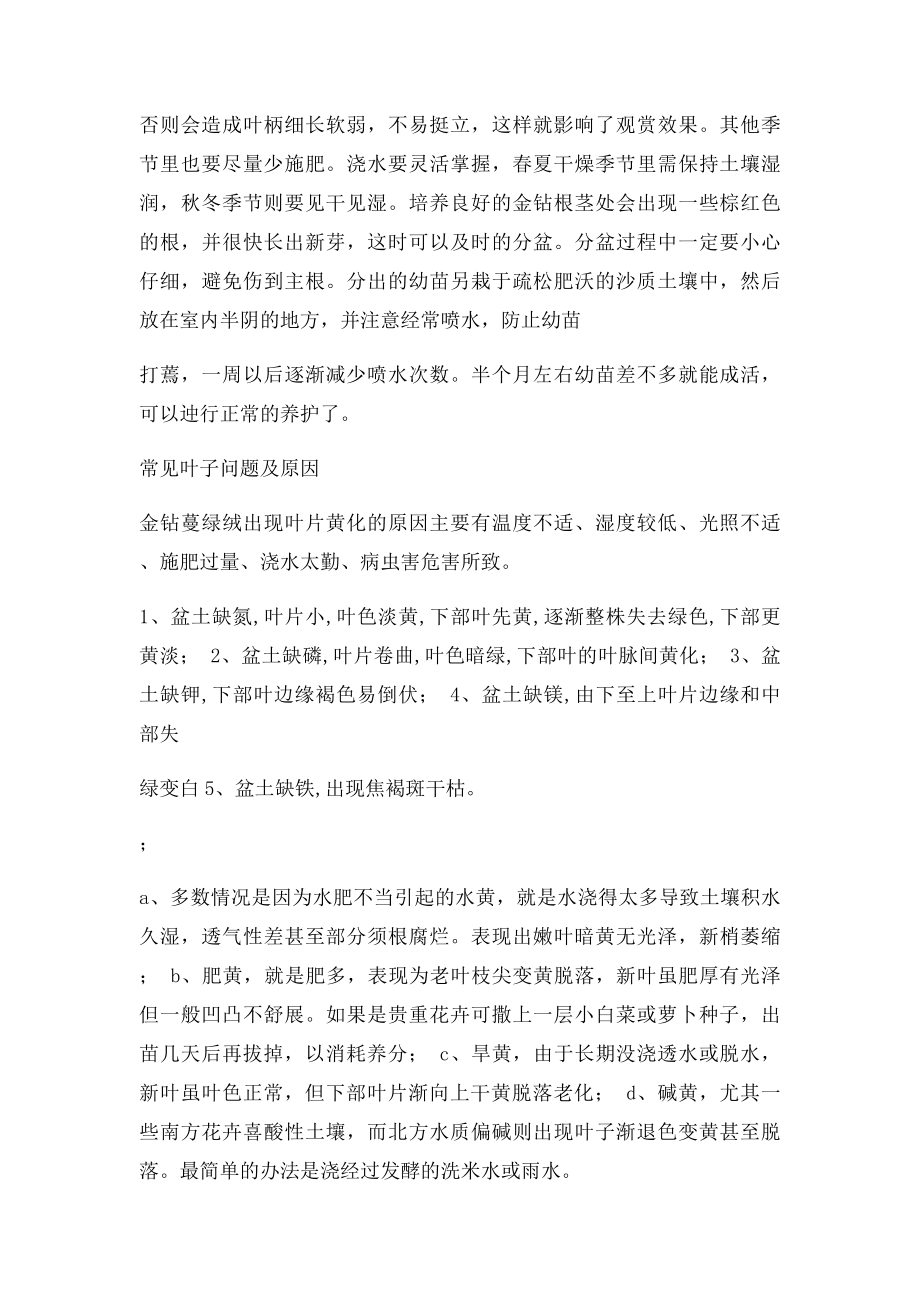 金钻的养殖方法.docx_第2页