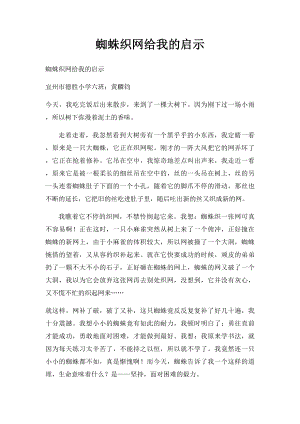 蜘蛛织网给我的启示.docx