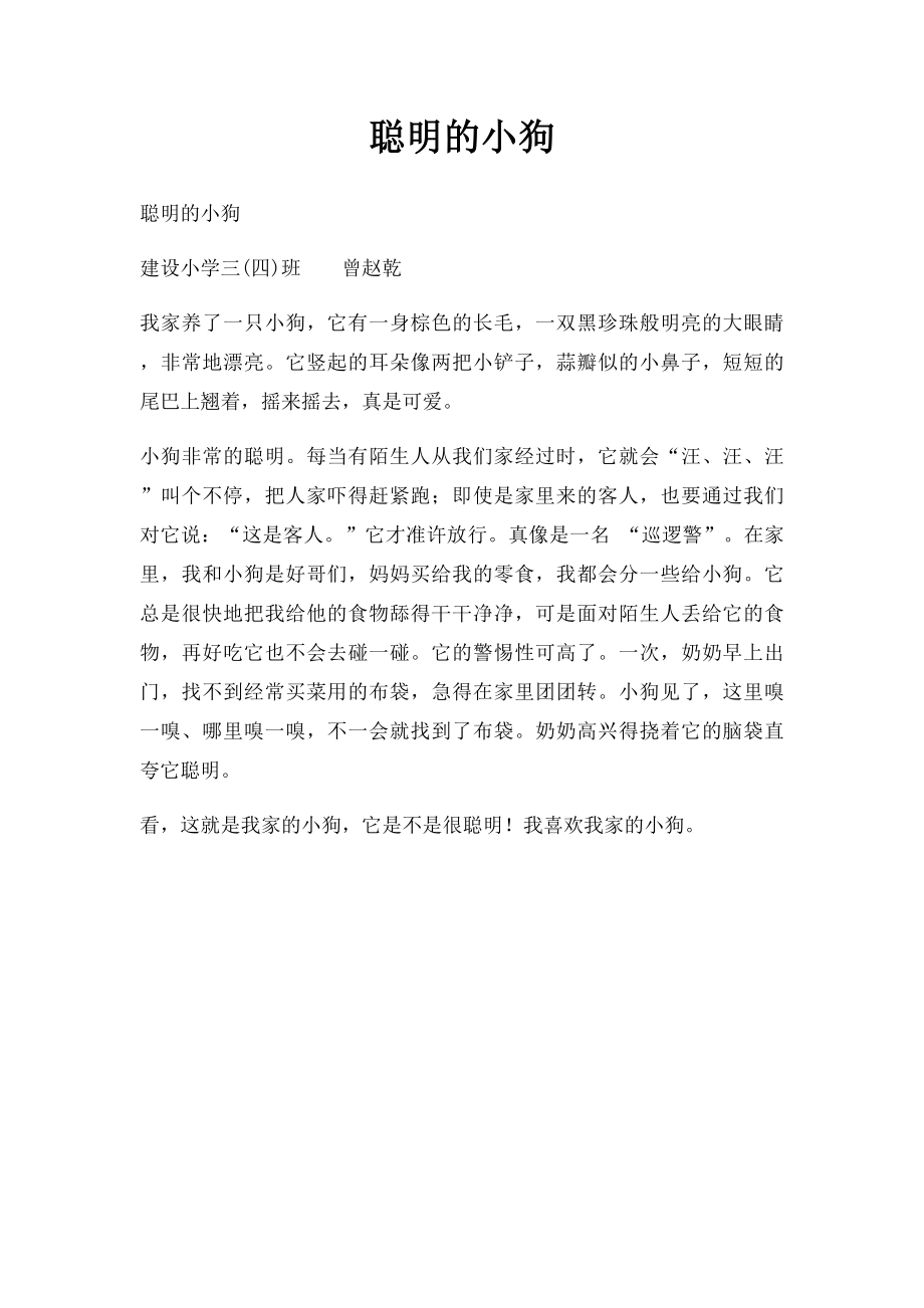 聪明的小狗.docx_第1页