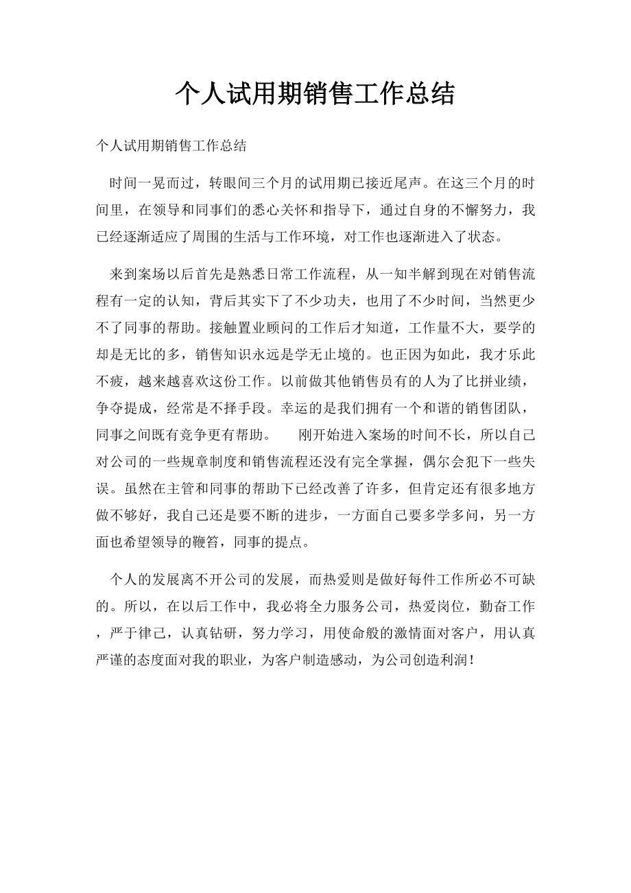 个人试用期销售工作总结.docx_第1页