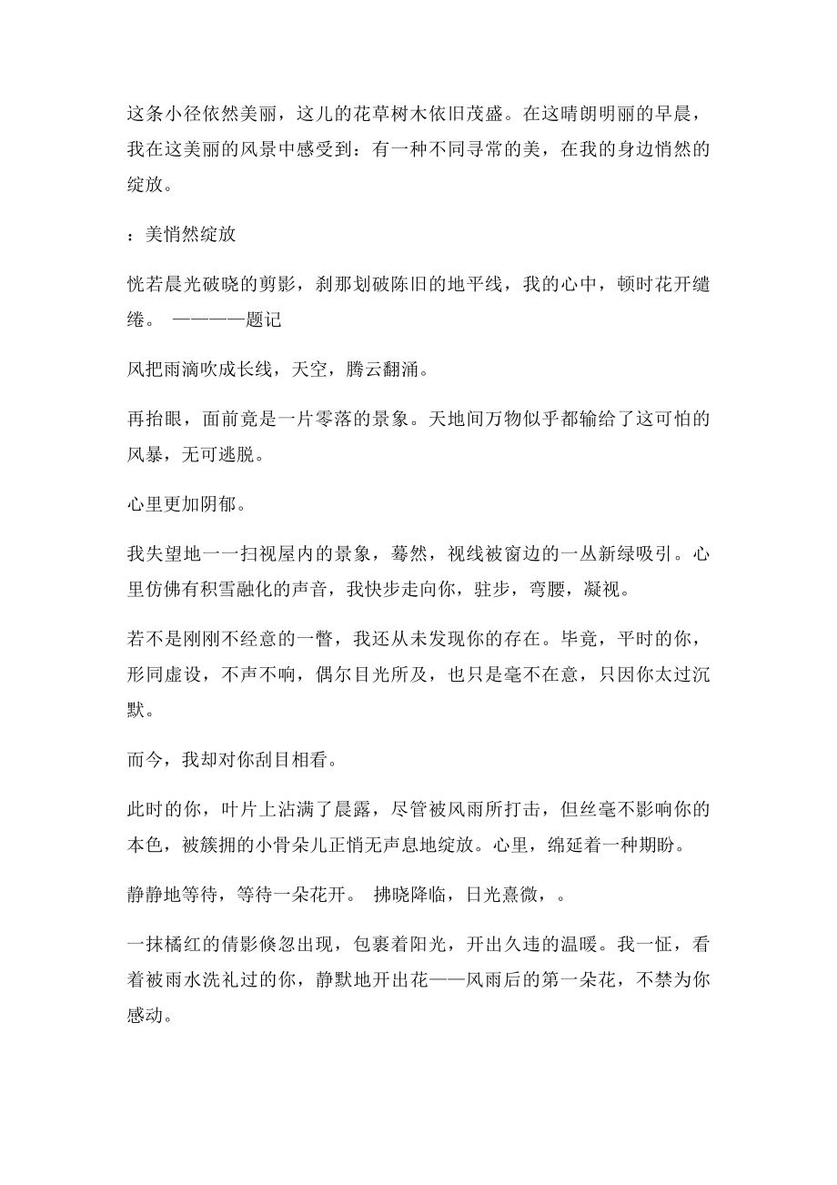 美,悄然绽放.docx_第2页