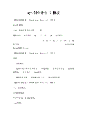 syb创业计划书 模板.docx