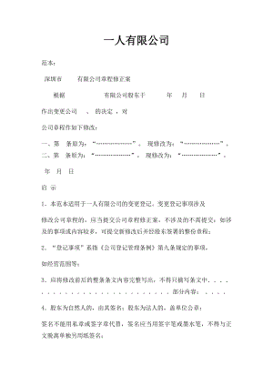 一人有限公司.docx