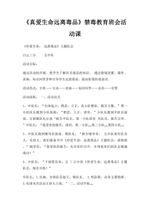 《真爱生命远离毒品》禁毒教育班会活动课.docx