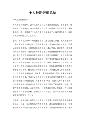 个人挂职锻炼总结.docx