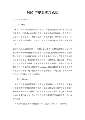 3000字毕业实习总结.docx