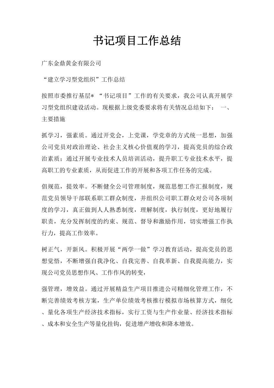 书记项目工作总结.docx_第1页