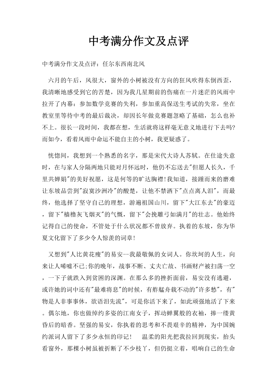 中考满分作文及点评.docx_第1页