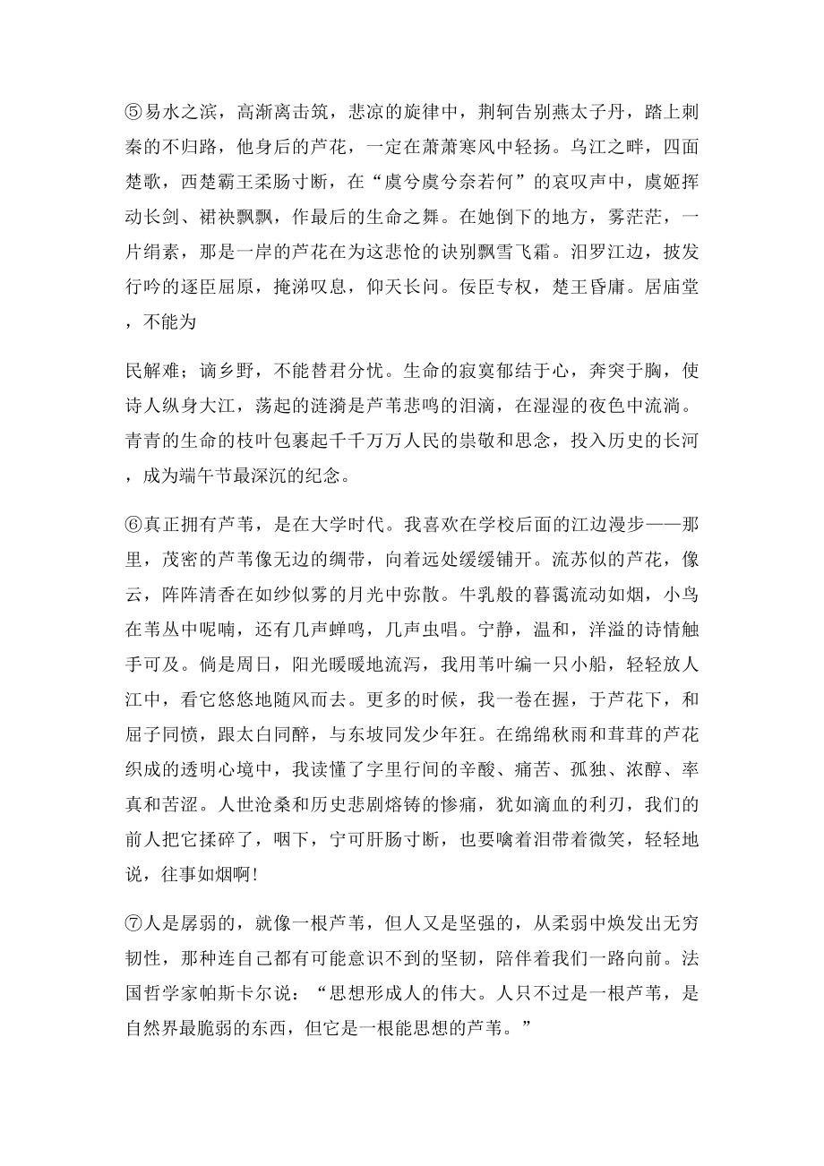 中考语文阅读带答案 心中的芦苇.docx_第2页