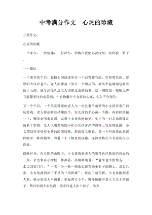 中考满分作文心灵的珍藏.docx