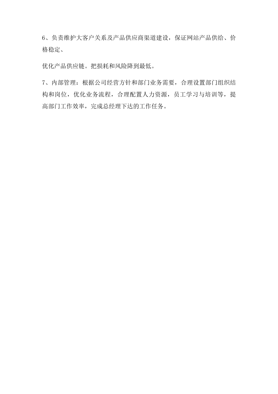 b2c电子商务网站运营总监岗位职责.docx_第2页