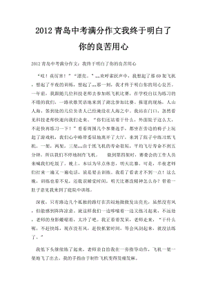 2012青岛中考满分作文我终于明白了你的良苦用心(1).docx