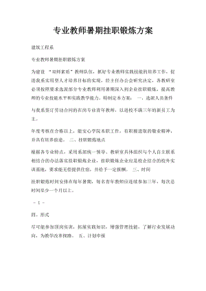 专业教师暑期挂职锻炼方案.docx