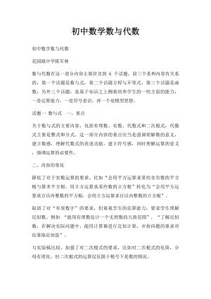 初中数学数与代数.docx