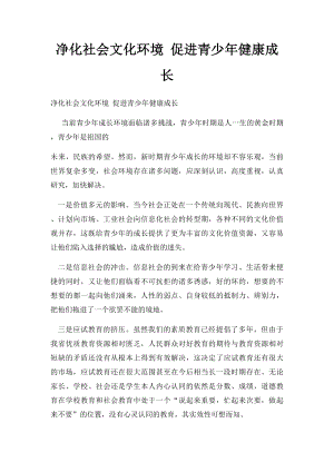 净化社会文化环境 促进青少年健康成长.docx