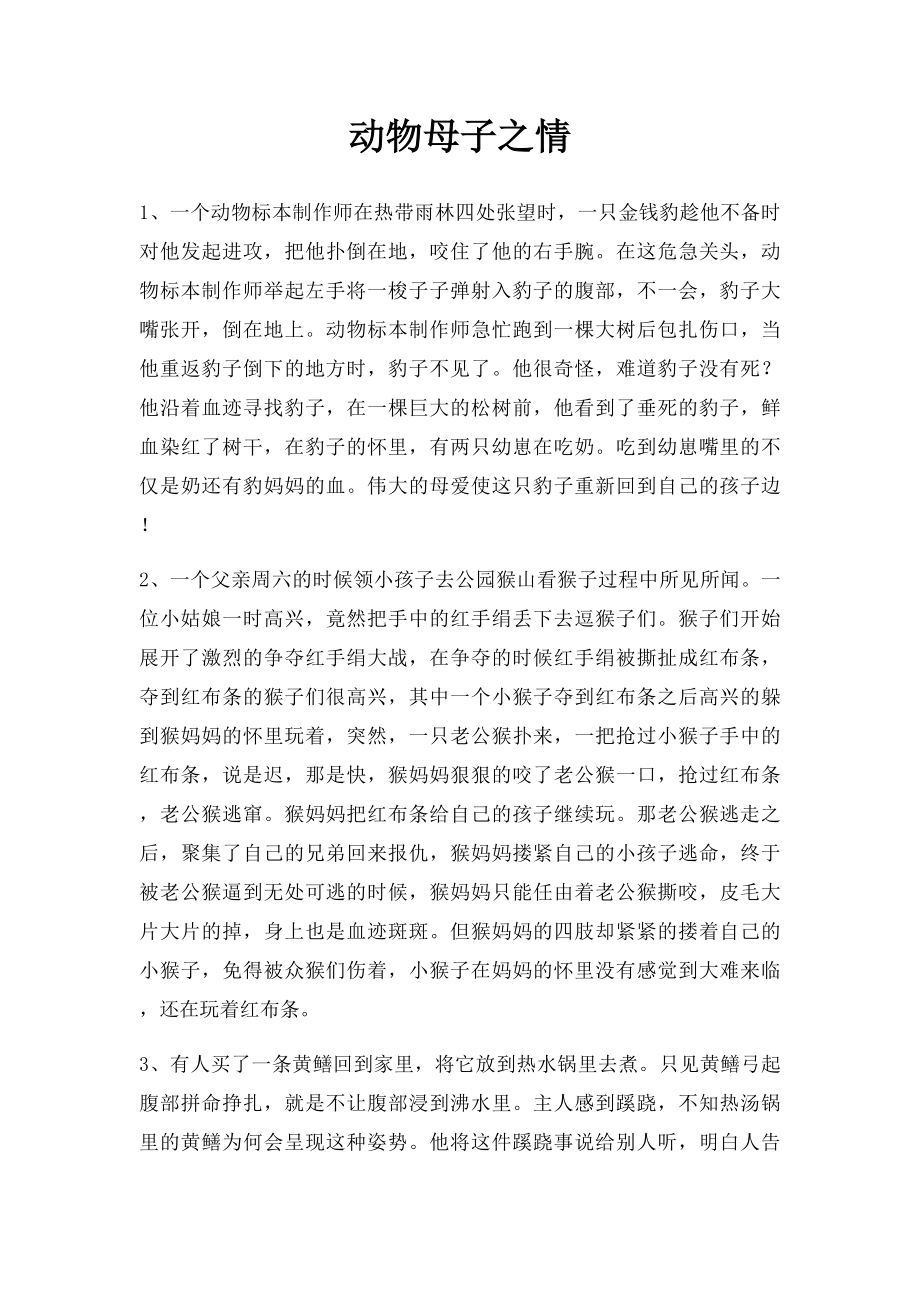 动物母子之情.docx_第1页