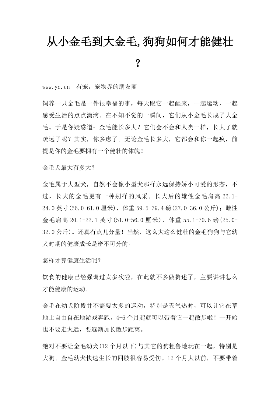 从小金毛到大金毛,狗狗如何才能健壮？.docx_第1页