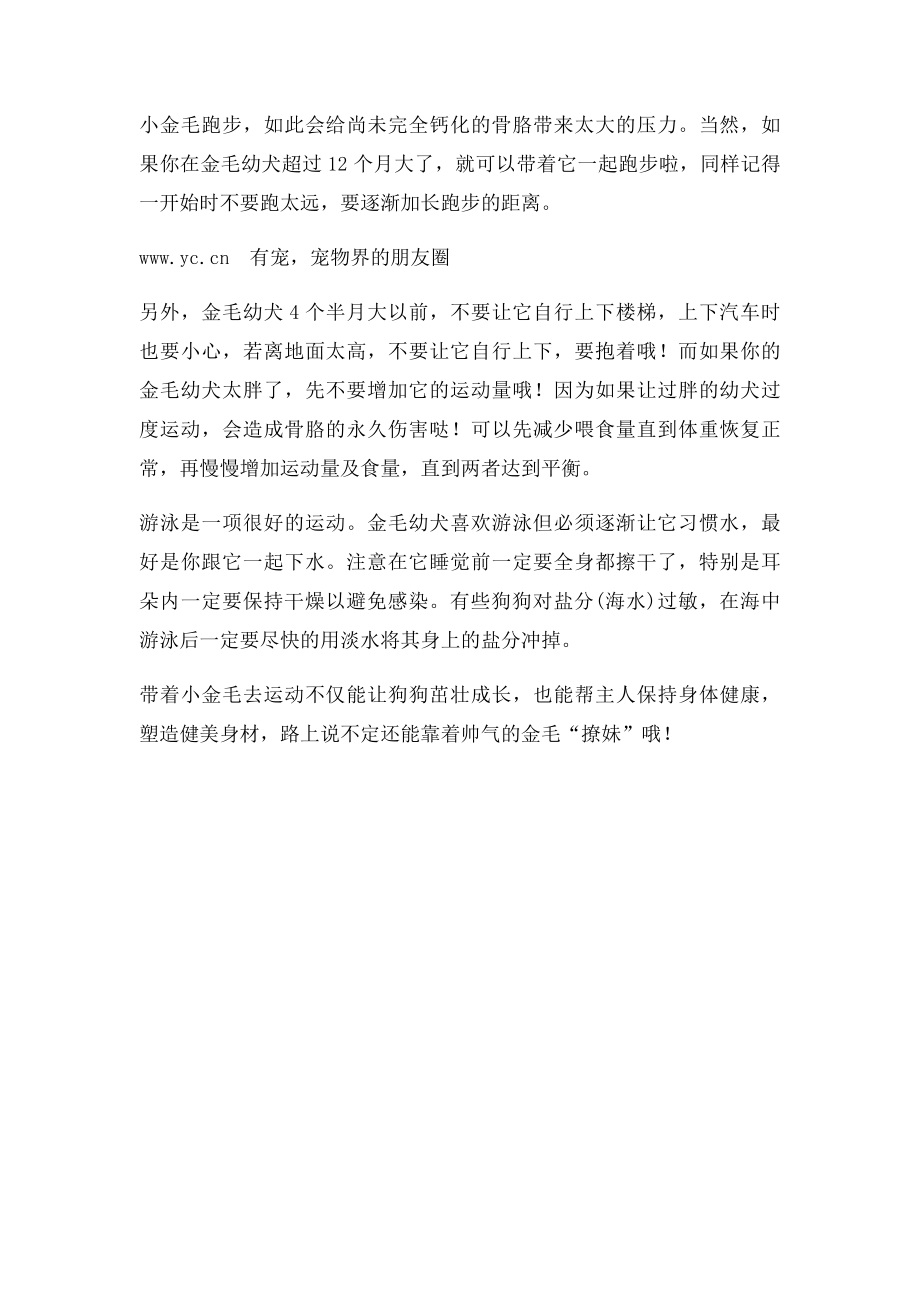 从小金毛到大金毛,狗狗如何才能健壮？.docx_第2页