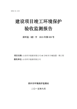 环境影响评价报告公示：科宇能源片碱报告环评报告.doc