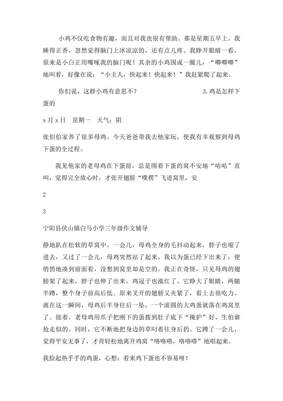 人教语文三年级上册第四单元作文34篇.docx_第3页