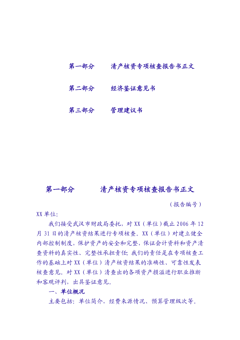 清产核资专项核查报告书.doc_第2页