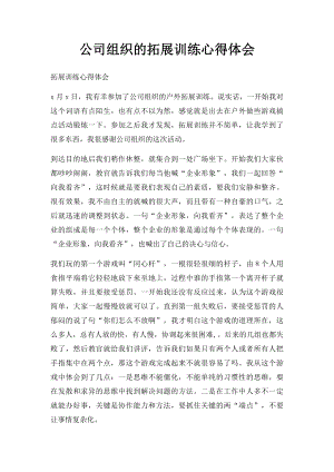 公司组织的拓展训练心得体会.docx