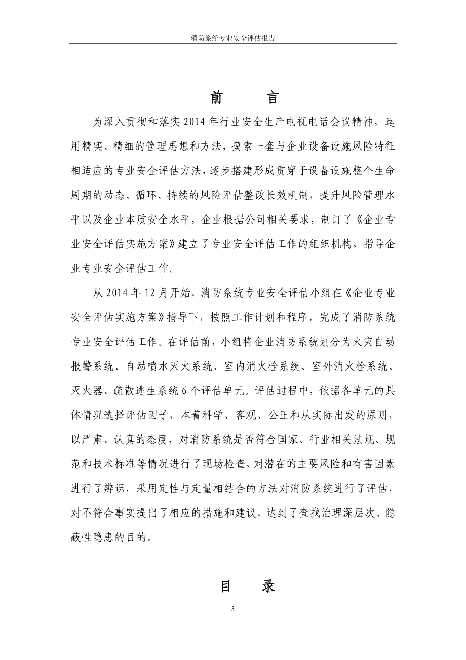 消防系统专业安全评估报告.doc_第3页