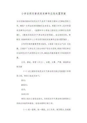 南麻街道办事处中心小学自然灾害类突发事件应急处置预案.docx