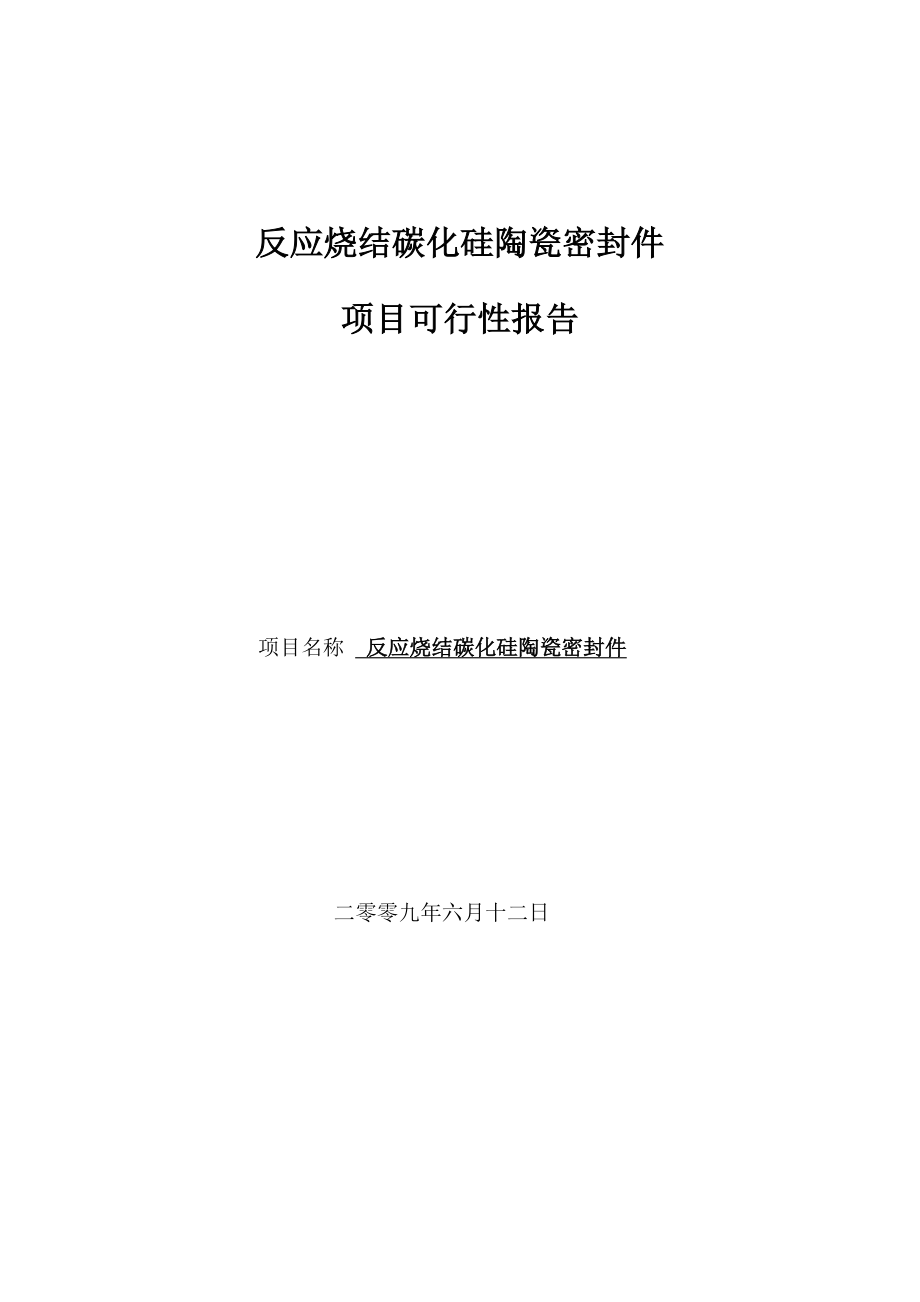 反应烧结碳化硅陶瓷密封件项目可研报告.doc_第1页