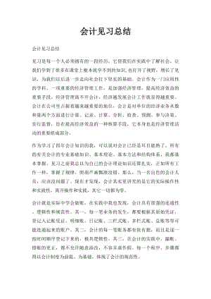 会计见习总结.docx