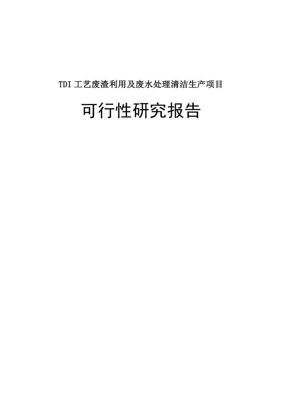 TDI工艺废渣利用及废水处理清洁生产项目可行性研究报告.doc_第1页