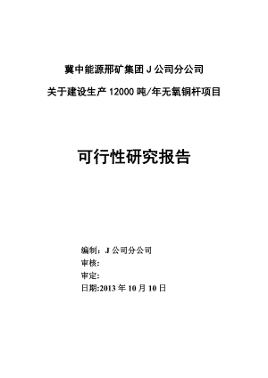 产12吨无氧铜杆项目可行性研究报告.doc