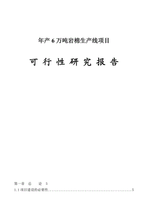 某保温材料有限公司产6万吨岩棉生产线项目可行性研究报告.doc