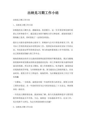 出纳见习期工作小结.docx