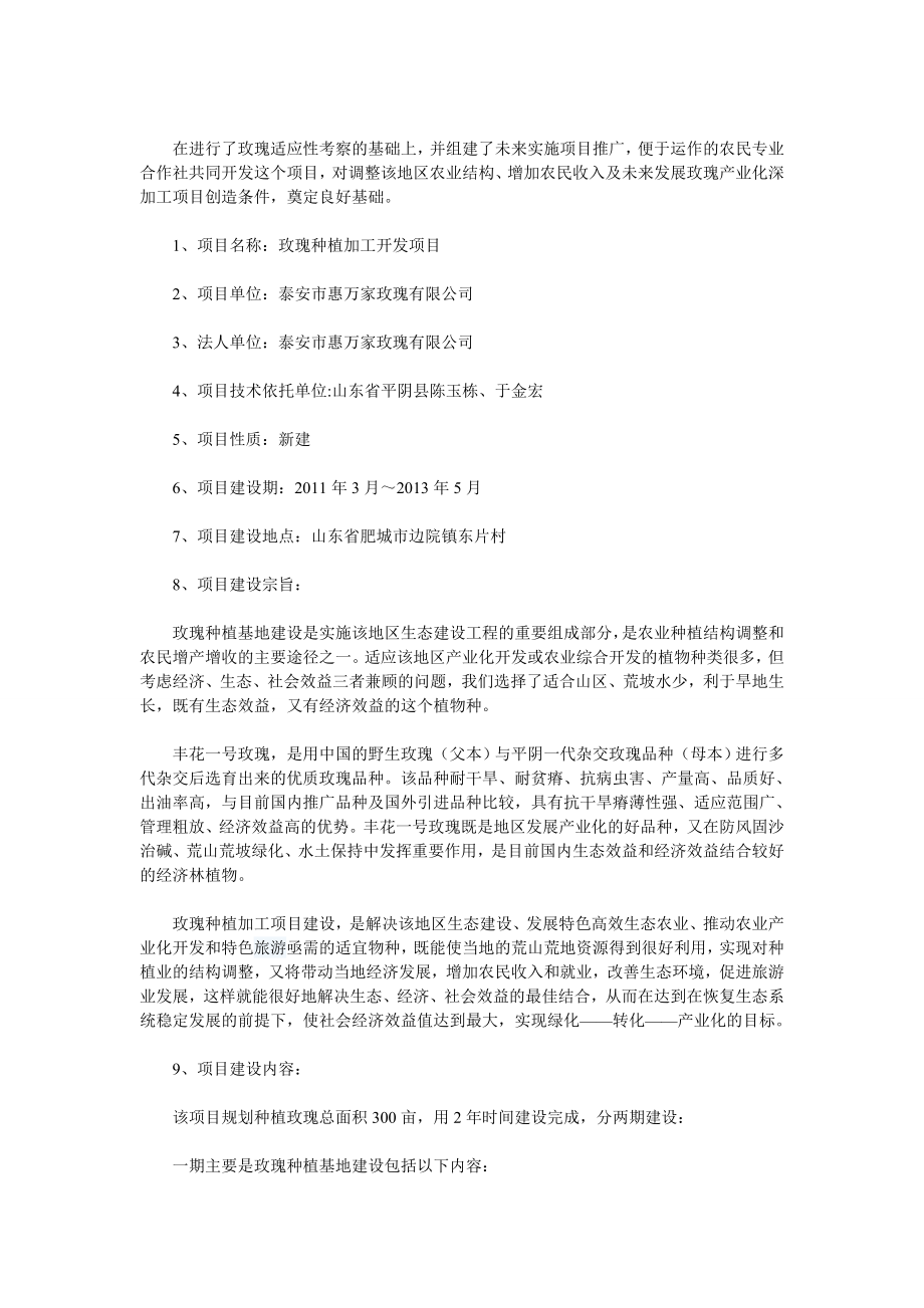 玫瑰可行性报告.doc_第2页