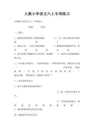 人教小学语文六上专项练习.docx