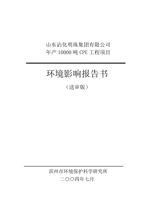 山东某公司产1万吨CPE项目报告书.doc