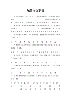 城管岗位职责.docx