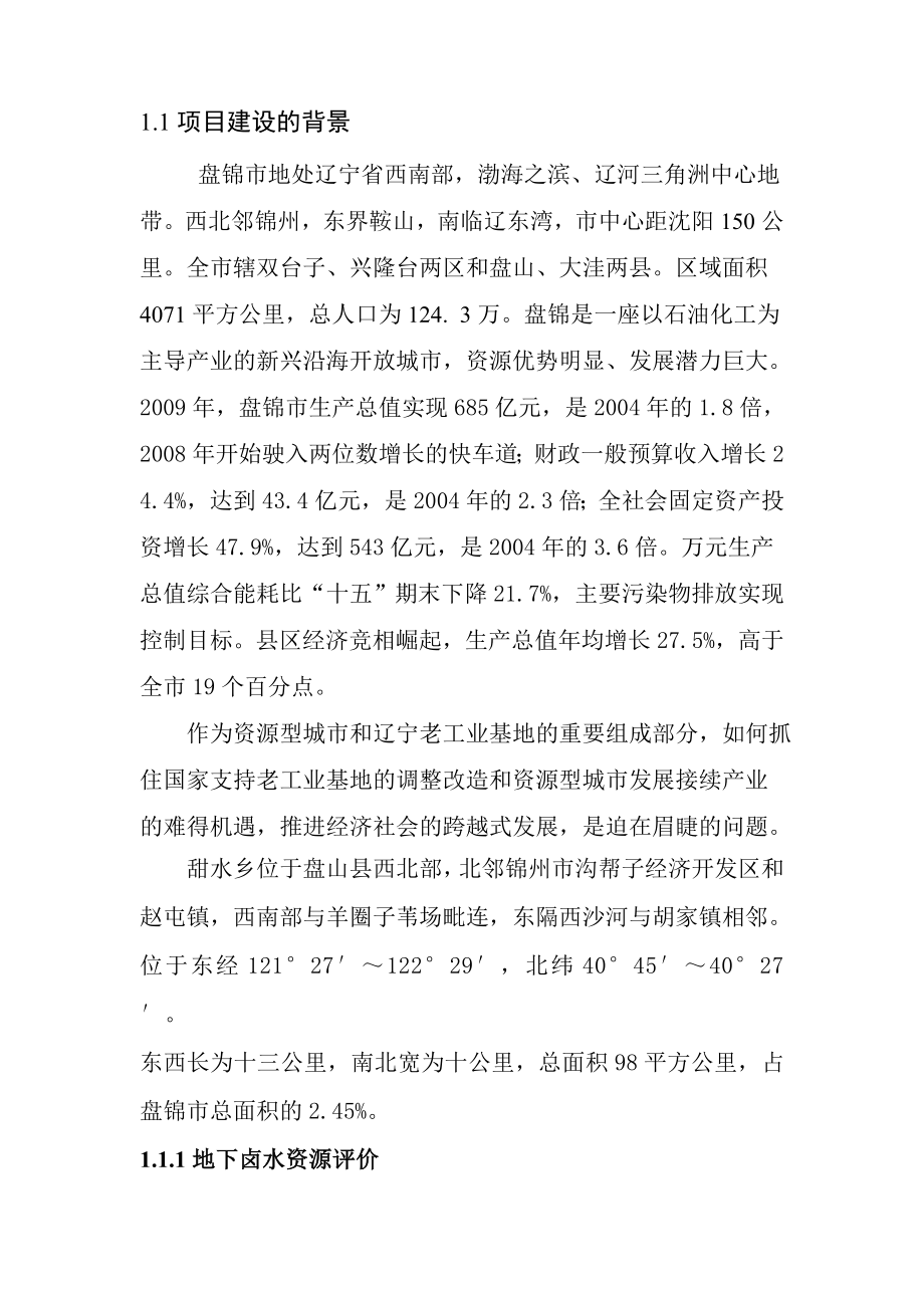 盐化工产业园区可行性研究报告.doc_第2页