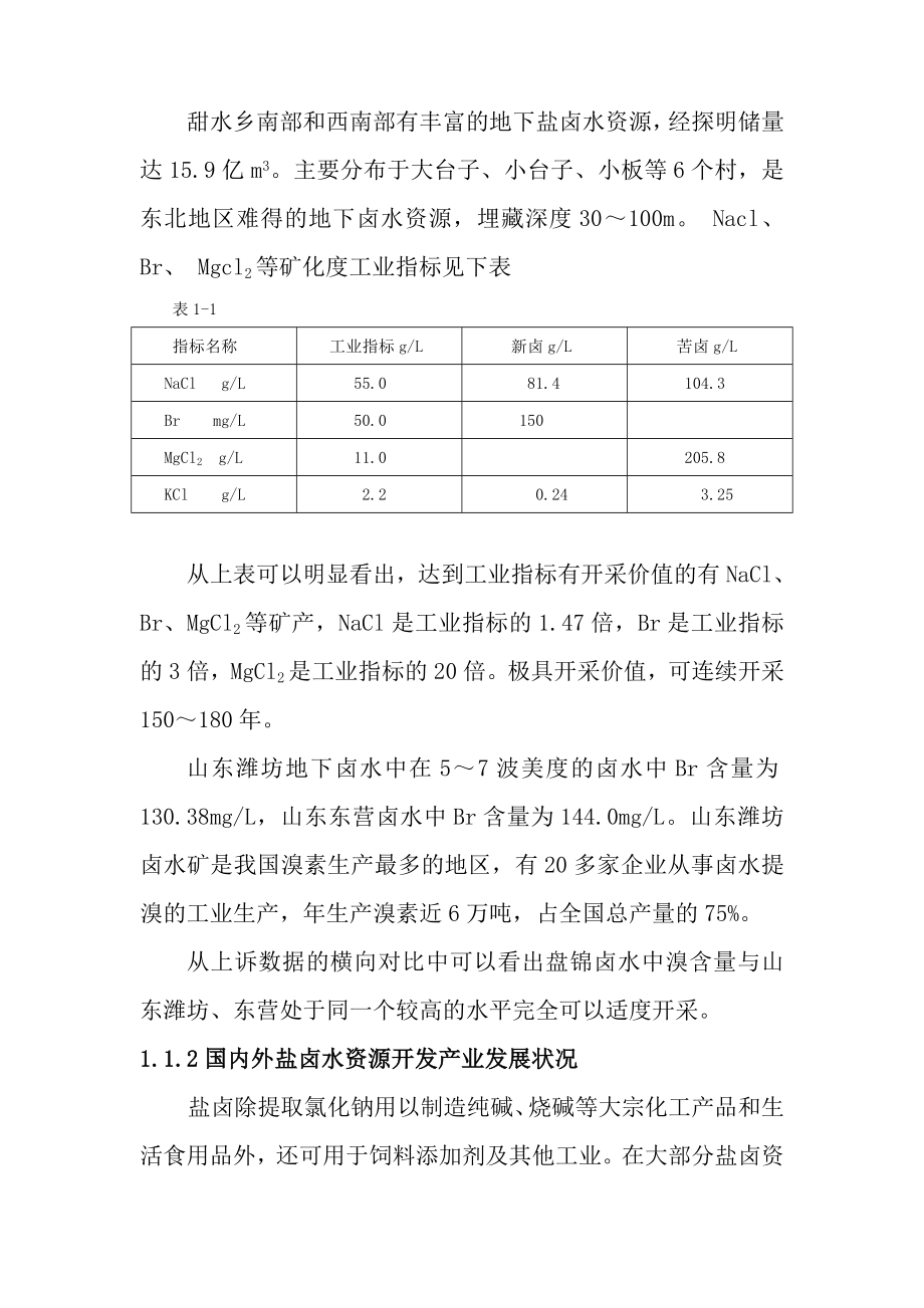 盐化工产业园区可行性研究报告.doc_第3页