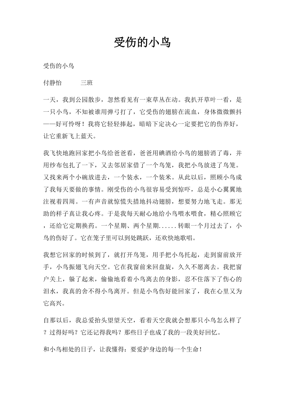 受伤的小鸟.docx_第1页