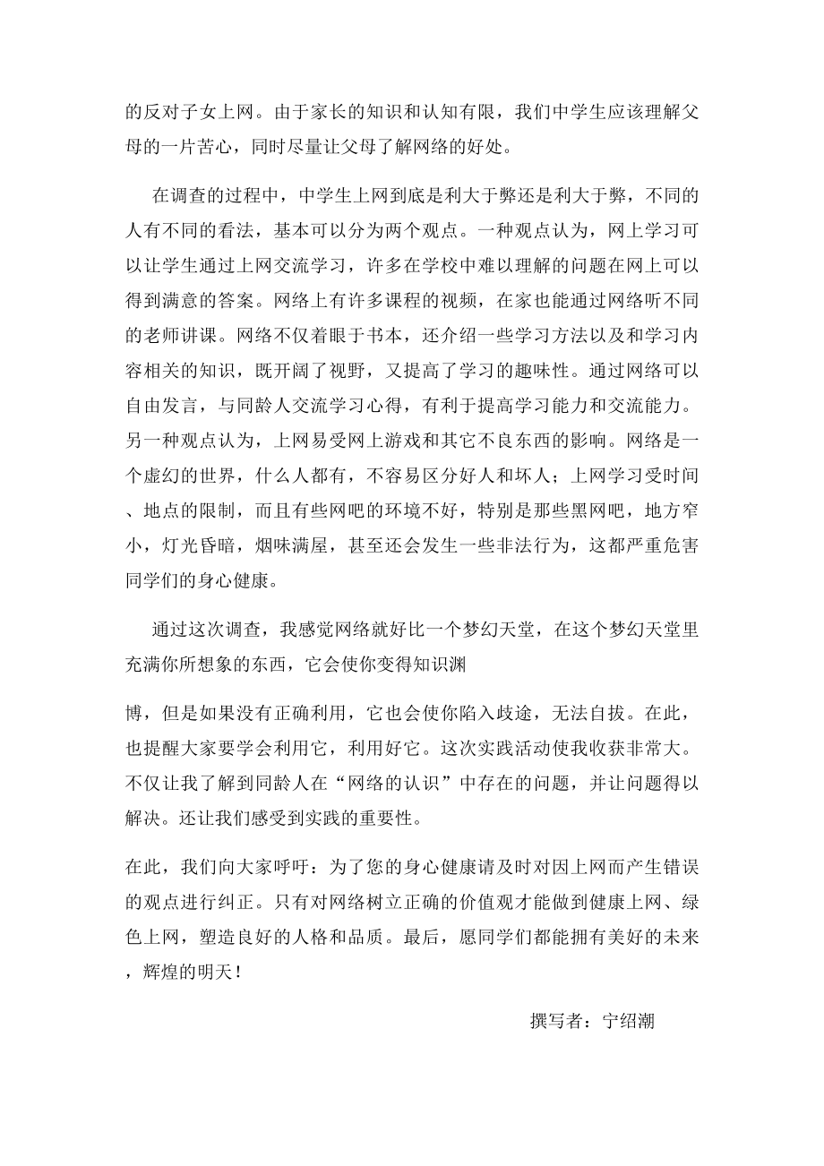 关于中学生上网的社会实践报告.docx_第3页