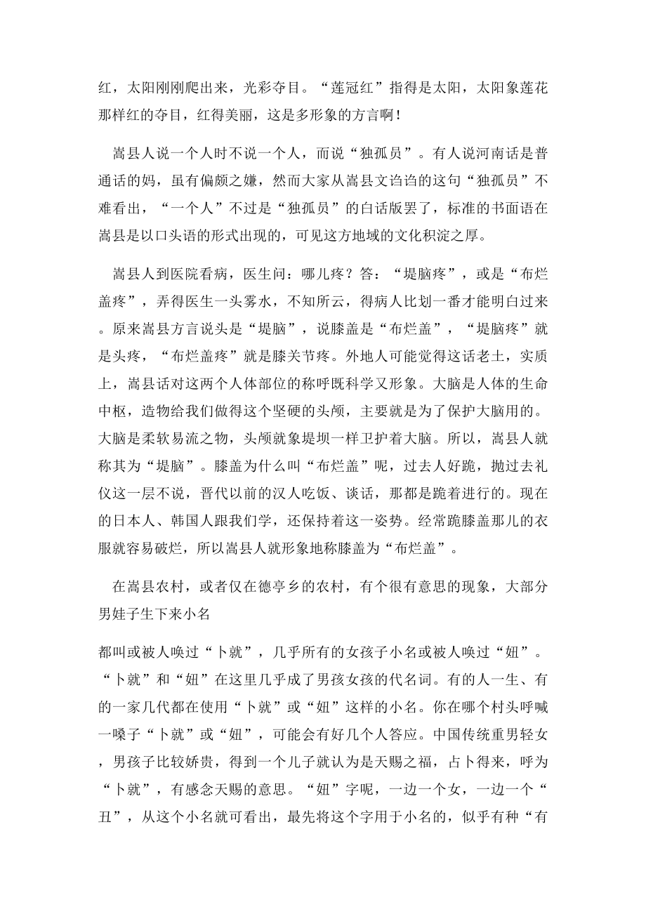 大话嵩县方言.docx_第2页