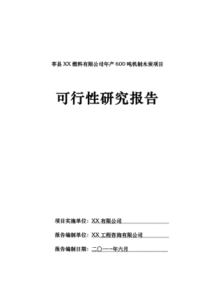 产600吨机制木炭项目可行性研究报告.doc