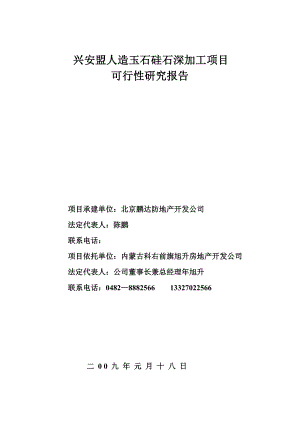 人造玉石硅石深加工项目可行性研究报告.doc