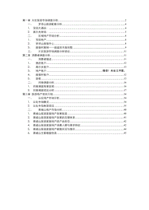 惠州罗浮山项目市场调研报告.doc