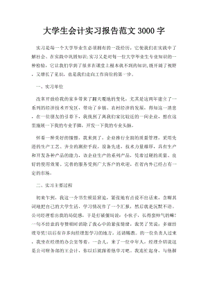 大学生会计实习报告范文3000字(1).docx