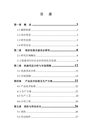 洗涤用品项目可行性研究报告.doc