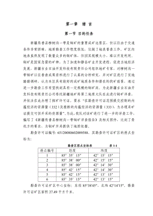 新疆焉耆县柳树沟铜矿详查报告.doc