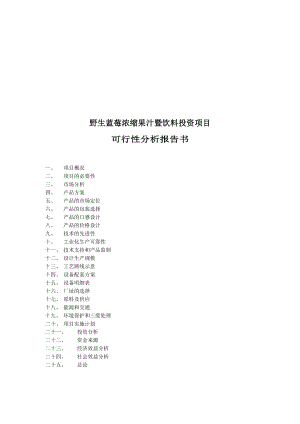 饮料投资项目可行性分析报告.doc